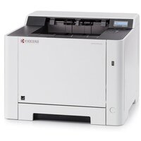 Принтер лазерный Kyocera Ecosys P2235dn (1102RV3NL0)