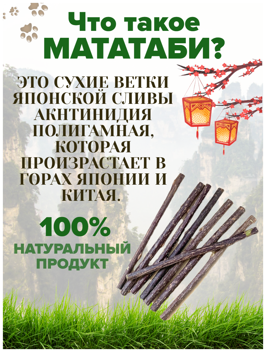 Палочки для кошек из Мататаби. Игрушка дразнилка для кошек с эффектом кошачьей мяты. Набор 10 шт - фотография № 3