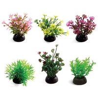 Растения LAGUNA (набор 6шт) разноцветные, 50мм