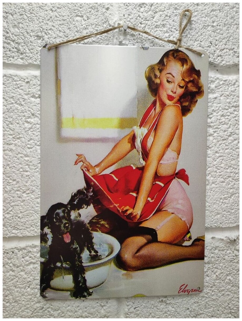 Ретро девушки в стиле Пин ап табличка металлическая постер на стену размер 30 на 20 см шнур-подвес в подарок