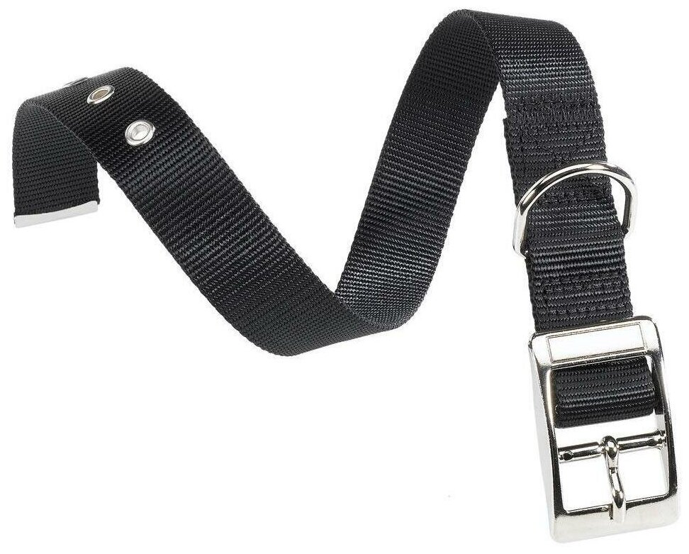 Ошейник для собак мелких и средних пород Ферпласт Club CF20/43 с металлической пряжкой, черный, длина от 35см до 43см / аксессуары для животных