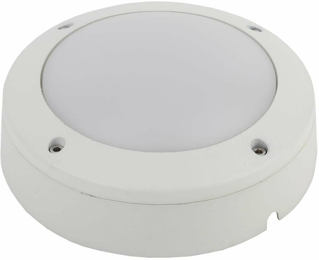 Светодиодный светильник металлический для бани IP65 ЭРА 12Вт 5000К Б0030243