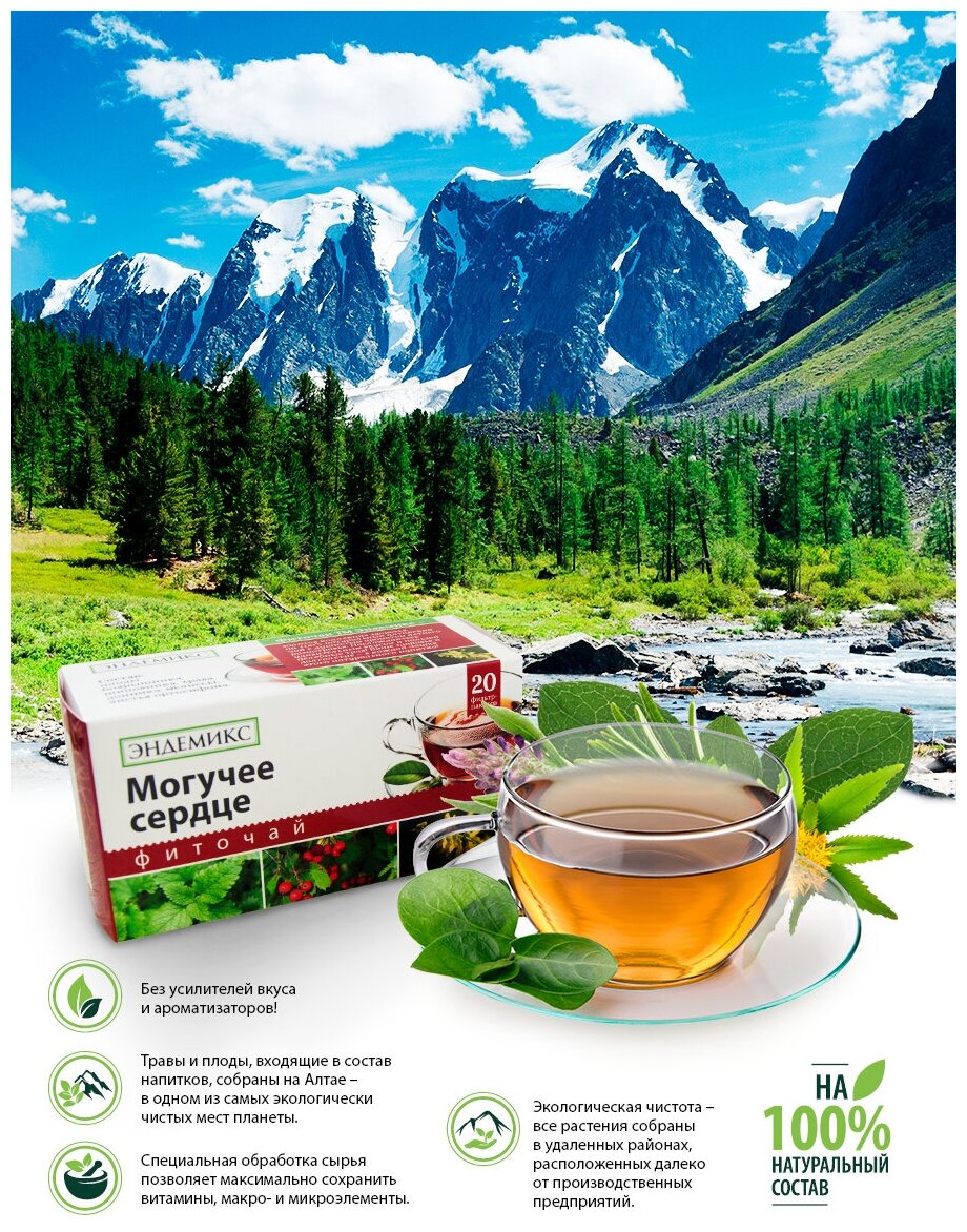 Травяной чай Эндемикс в пакетиках для сердца и сосудов, для нормализации давления и холестерина, сердечно сосудистый, 20 шт.