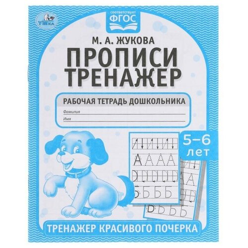 Прописи «Тренажер красивого почерка» М. А. Жукова. 5-6 лет, 4 штуки