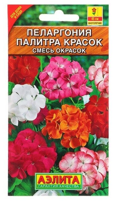 Семена комнатных цветов Пеларгония "Палитра красок", 4 шт.