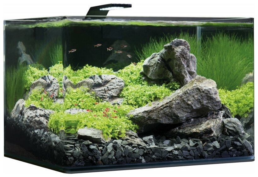 Аквариум с оборудованием DENNERLE NANO scaper's tank Basic Style LED, 55 литров (45х36х34см) - фотография № 4