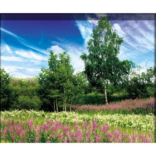 Фотообои глянцевые Солнечный день 196*201