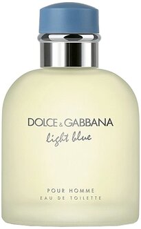 dolce & gabbana light blue review