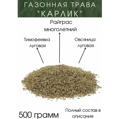 Газонная Трава Карликовая 500 гр. газонная трава карликовая 1кг