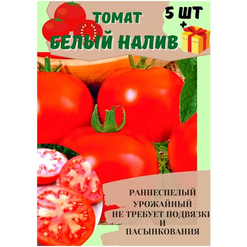 Томат Белый налив 241 скороспелый 5шт набор семена томатов альфонс f1 для теплицы и открытого грунта 2 шт