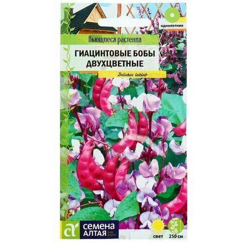 Семена цветов Гиацинтовые бобы 'Двухцветные', О, цп, 1 г