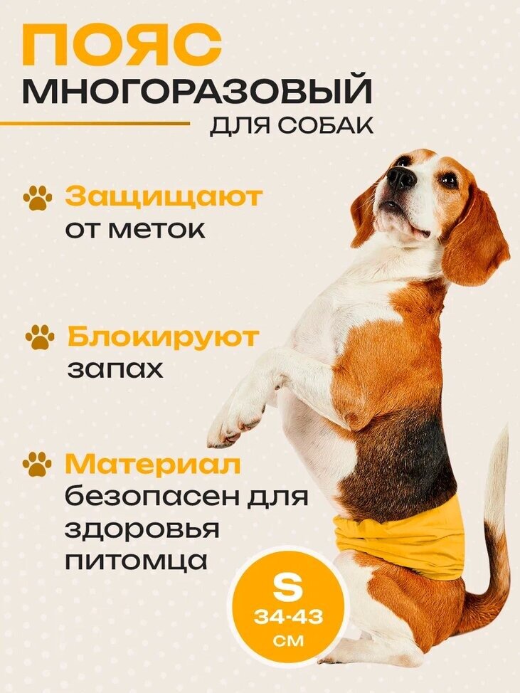 Пояс для кобелей, щенков Big Tiny, многоразовый, S, желтый/ Заменит трусы, памперсы, подгузники.