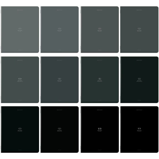 Тетради предметные Brauberg , комплект 12 предметов, 48 л, SoftTouch, "РИТМ", 405181