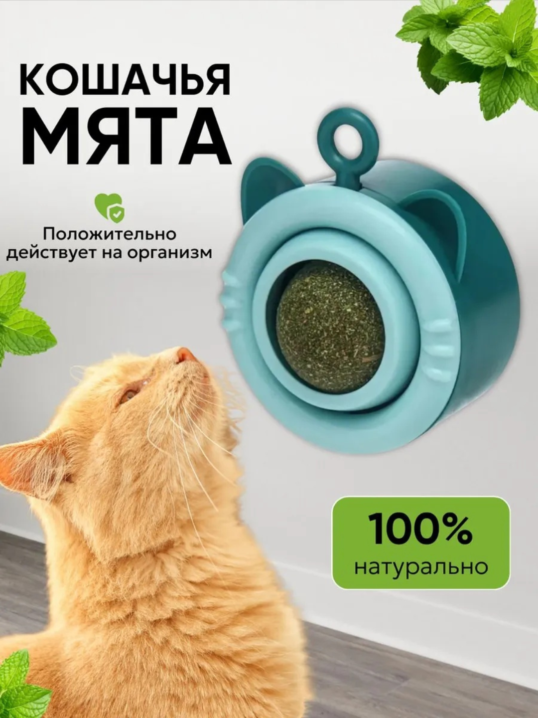 Игрушка для кошек кошачья мята, для чистки зубов и десен, с креплением
