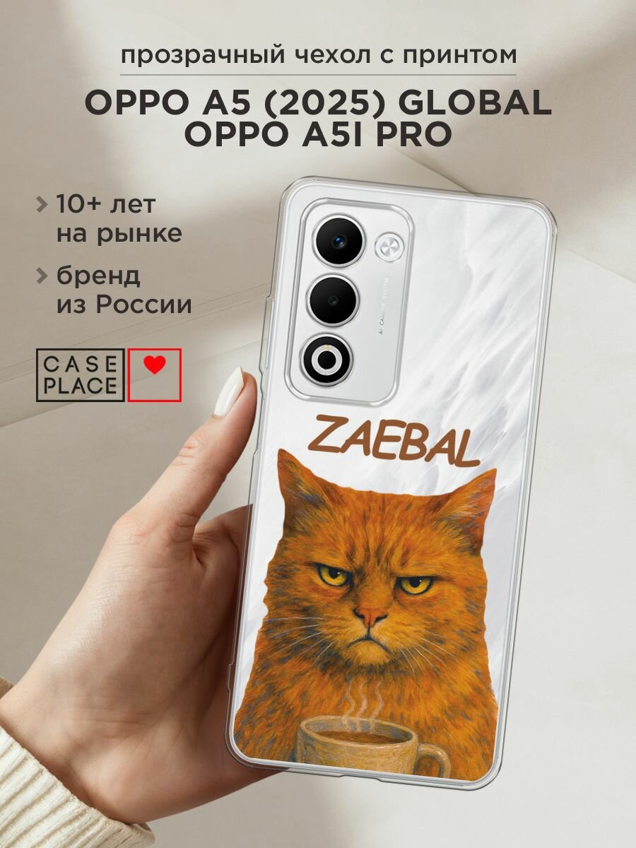 Чехол на Oppo A5 (2025) Global/A5i Pro / Оппо A5 (2025) Глобал/A5i Про с принтом "Рыжий кот с надписью", прозрачный