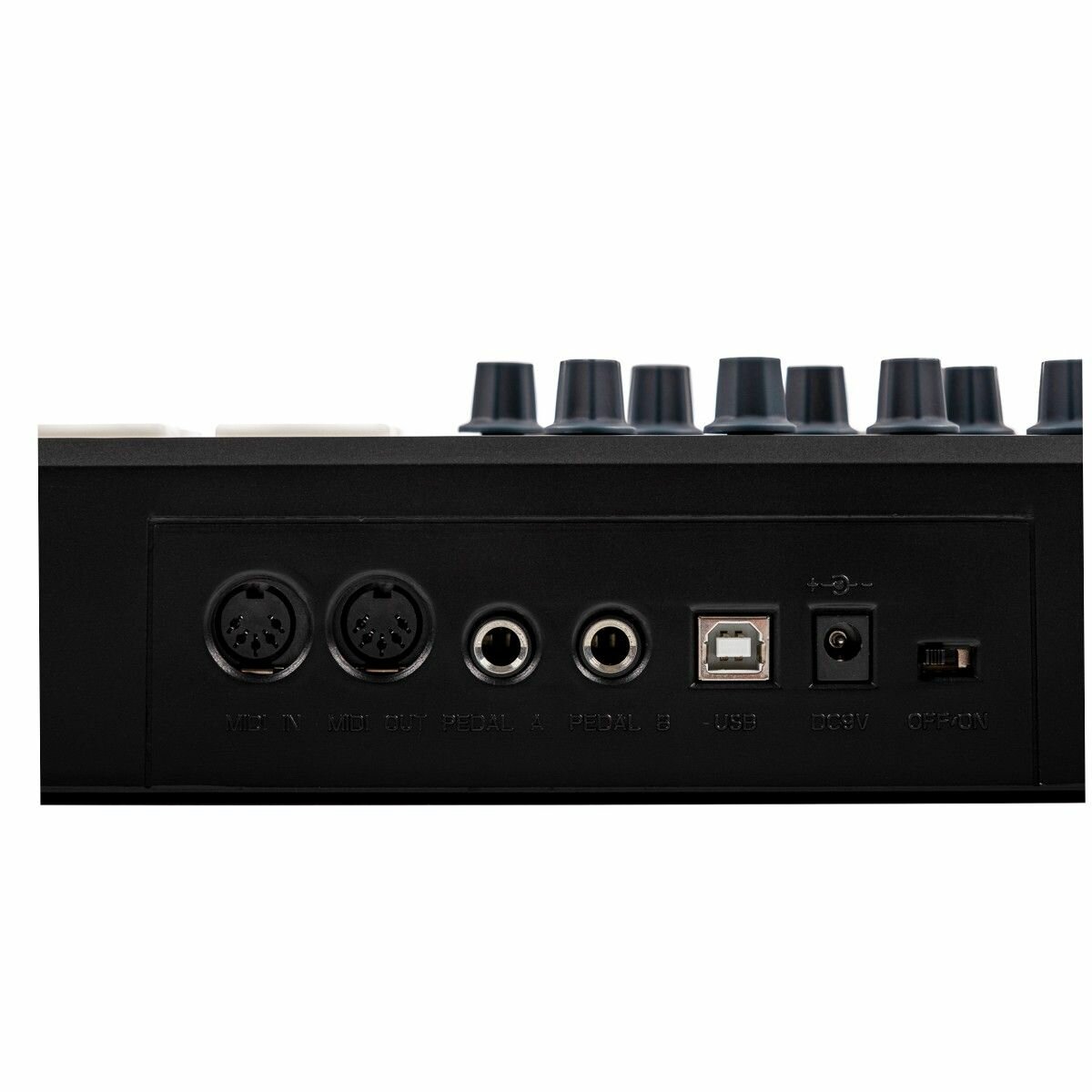 Panda-25C MIDI-контроллер, 25 клавиш, LAudio — фото 1