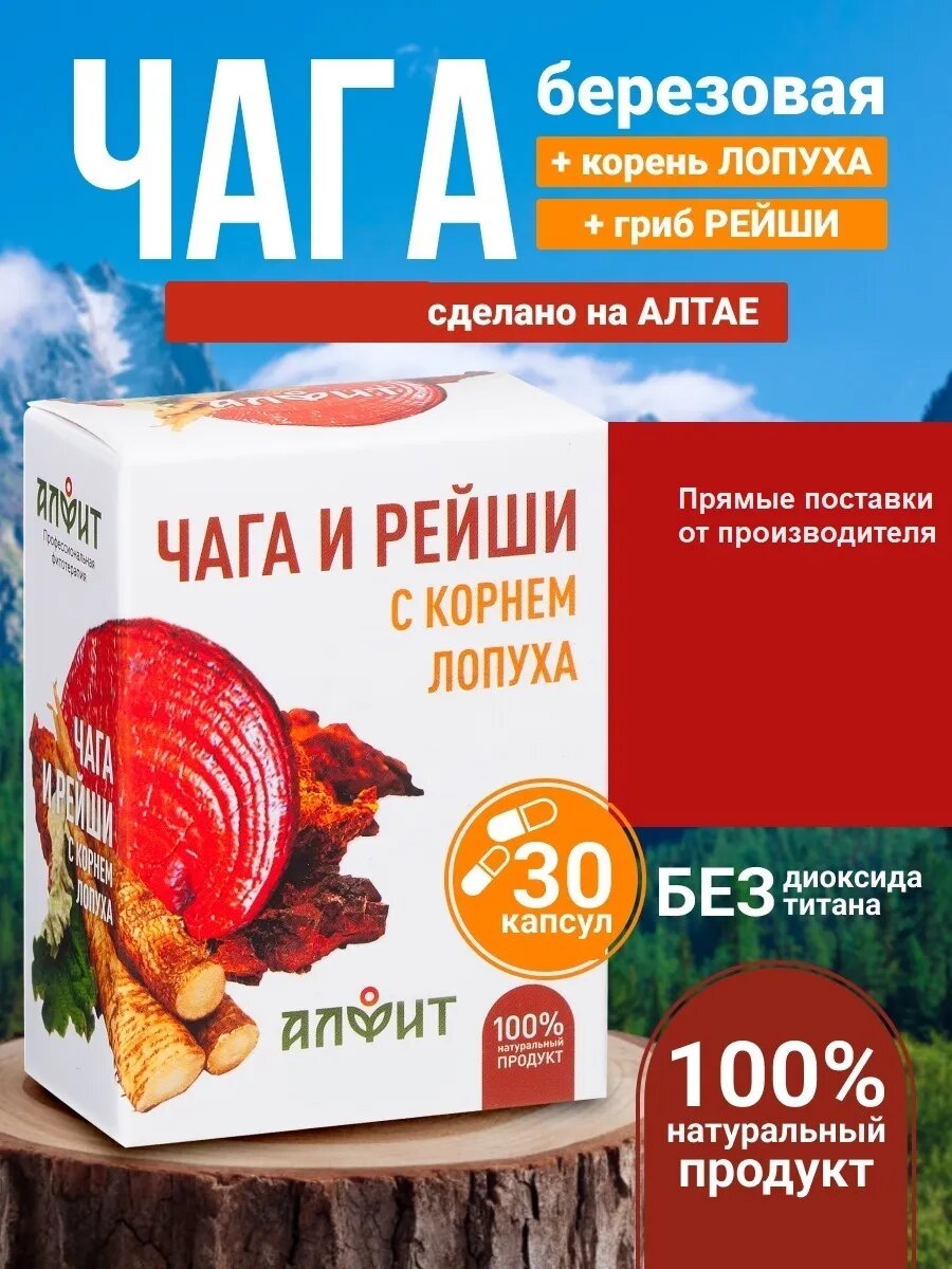 Чага березовая натуральная и рейши с корнем лопуха 30 капсул, натуральное средство с Алтая
