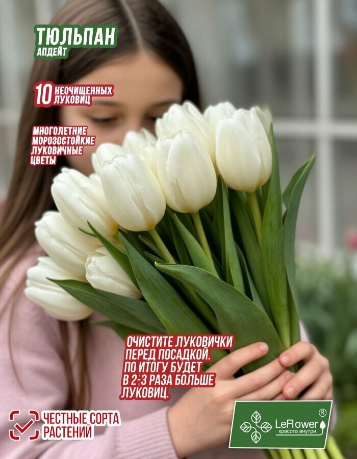 Тюльпан Луковица, Апдейт, 10шт (LeFlower)