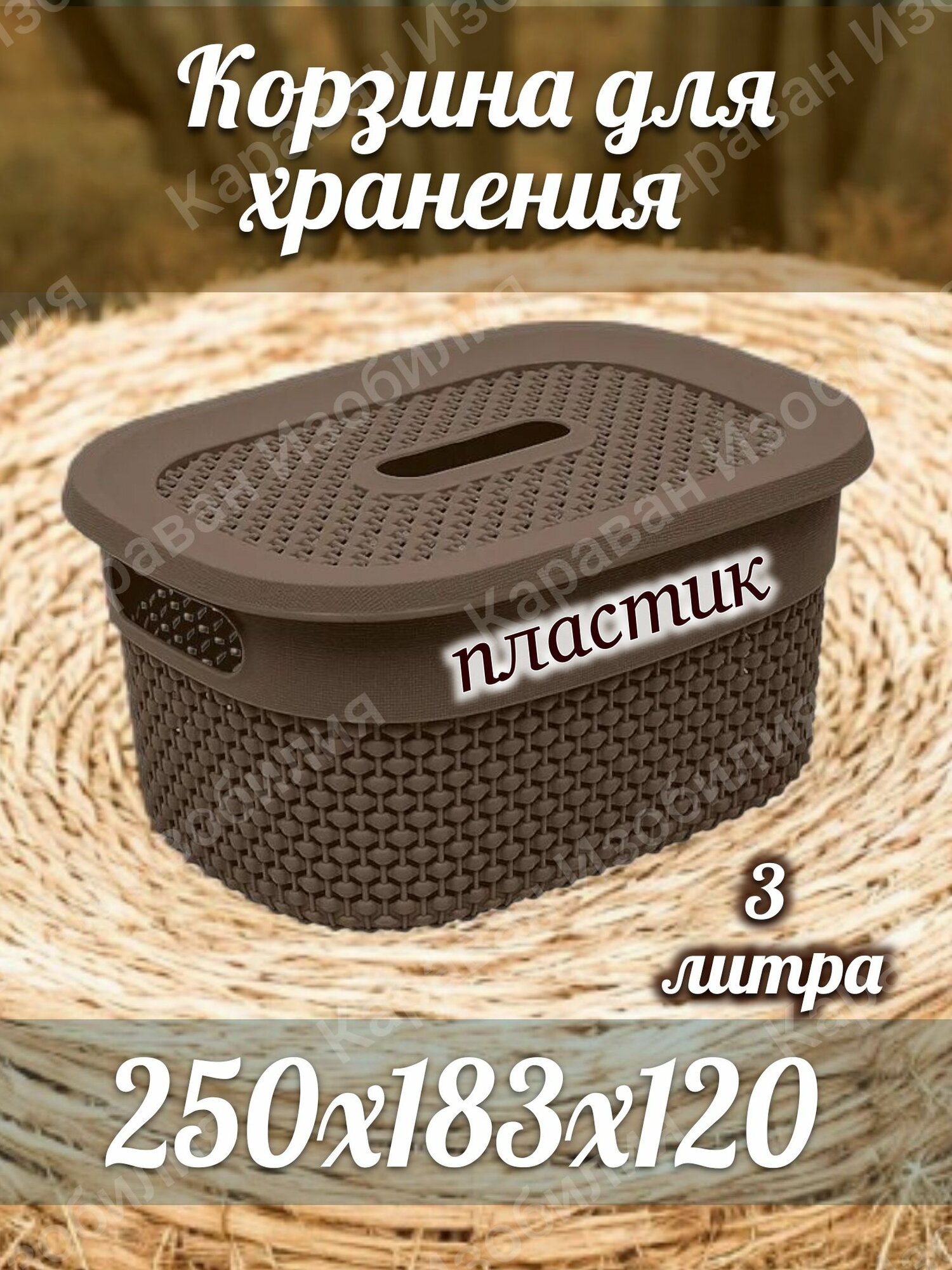 Корзинка 3 л с крышкой цвет коричневый пластик 250х183х120мм/универсальная для хранения вещей