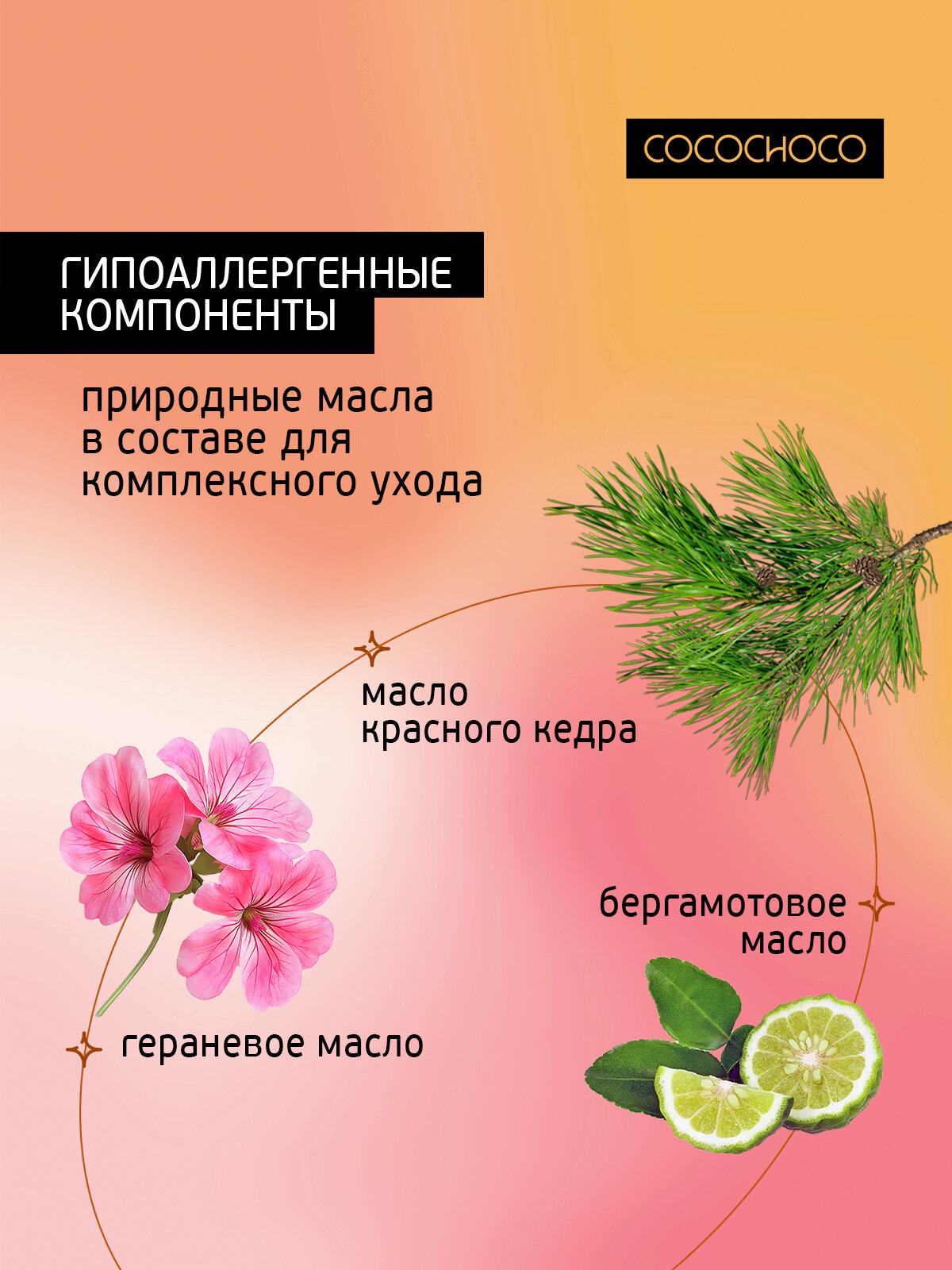 Спрей термозащитный COCOCHOCO "DAILY AID", для всех типов волос REGULAR, 150 мл — фото 1