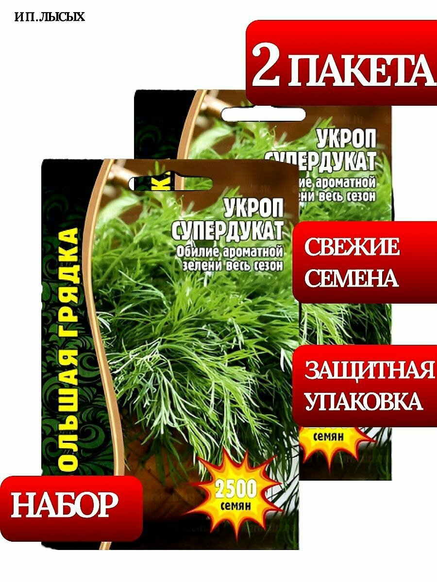 Семена Укроп 