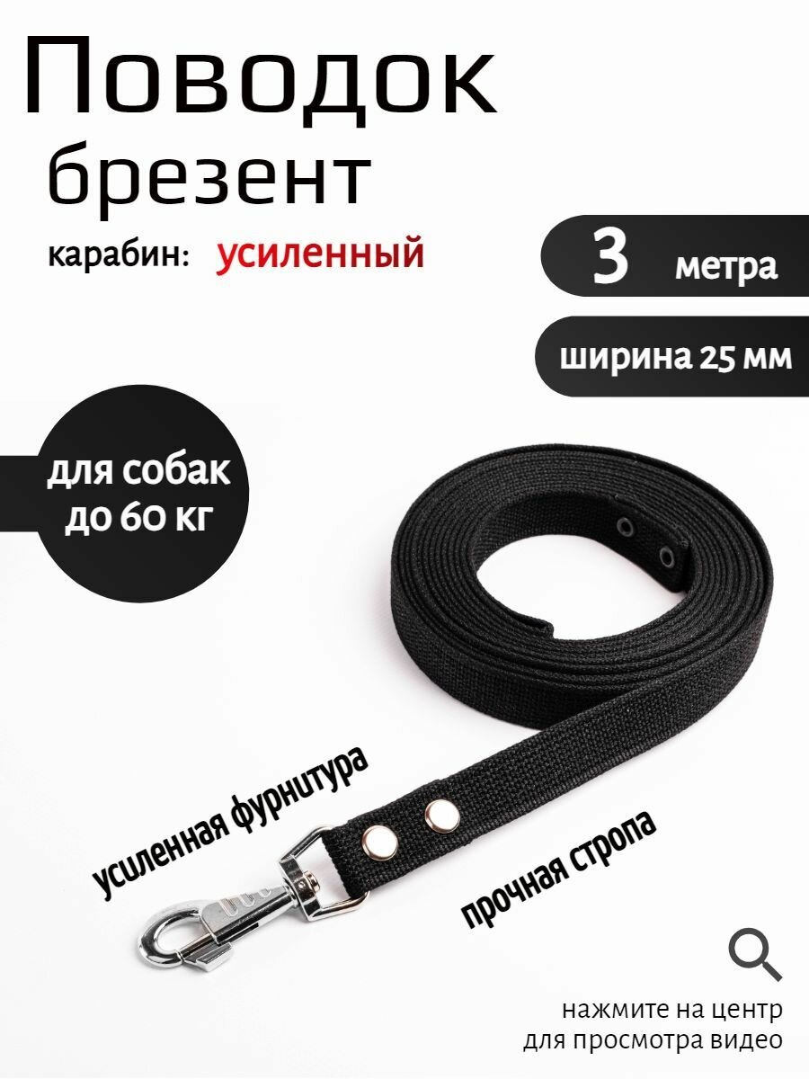 Поводок Хвостатыч для собак крупных собак брезент с карабином 3 м х 25 мм (черный)
