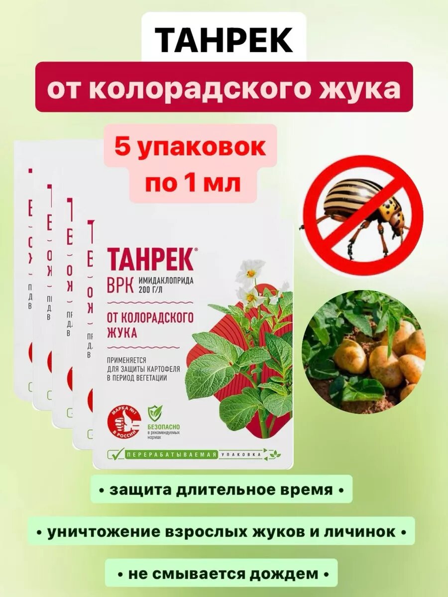 Танрек от колорадского жука