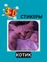 3D наклейка "коты" на телефон 3D наклейка "коты" на телефон.