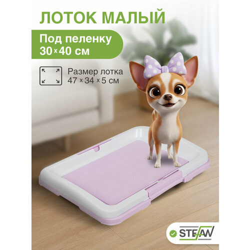 фото Туалет-лоток для собак мелких пород под одноразовую пеленку малый (s) stefan (штефан), размер 47х34, bp1024
