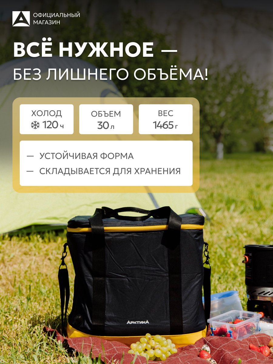 Сумка холодильник 30 литров/термосумка для лекарств Арктика 010