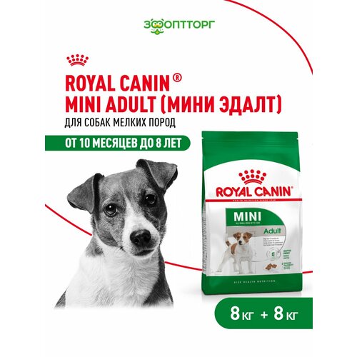 Royal Canin Mini Adult для взрослых собак мелких пород Птица, 8 кг. х 2 шт