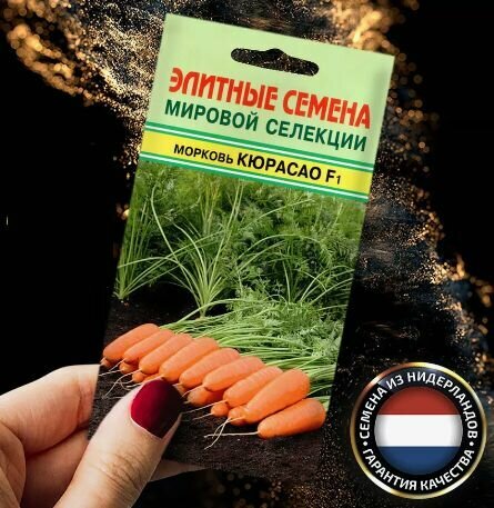 Морковь Кюрасао F1 150 семян/ Элитные семена/ Bejo Zaden