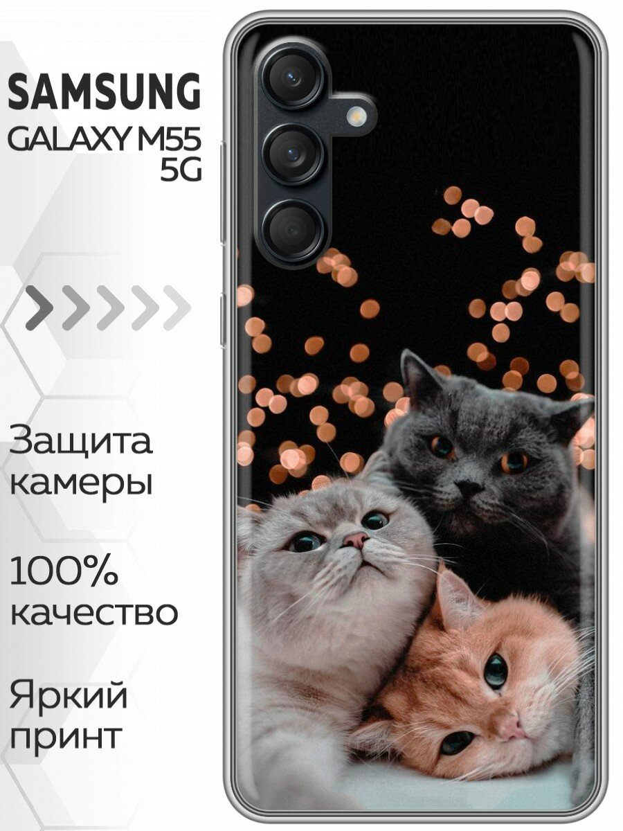 Чехол для Samsung Galaxy M55 с принтом Смешные котики на Самсунг Галакси М55