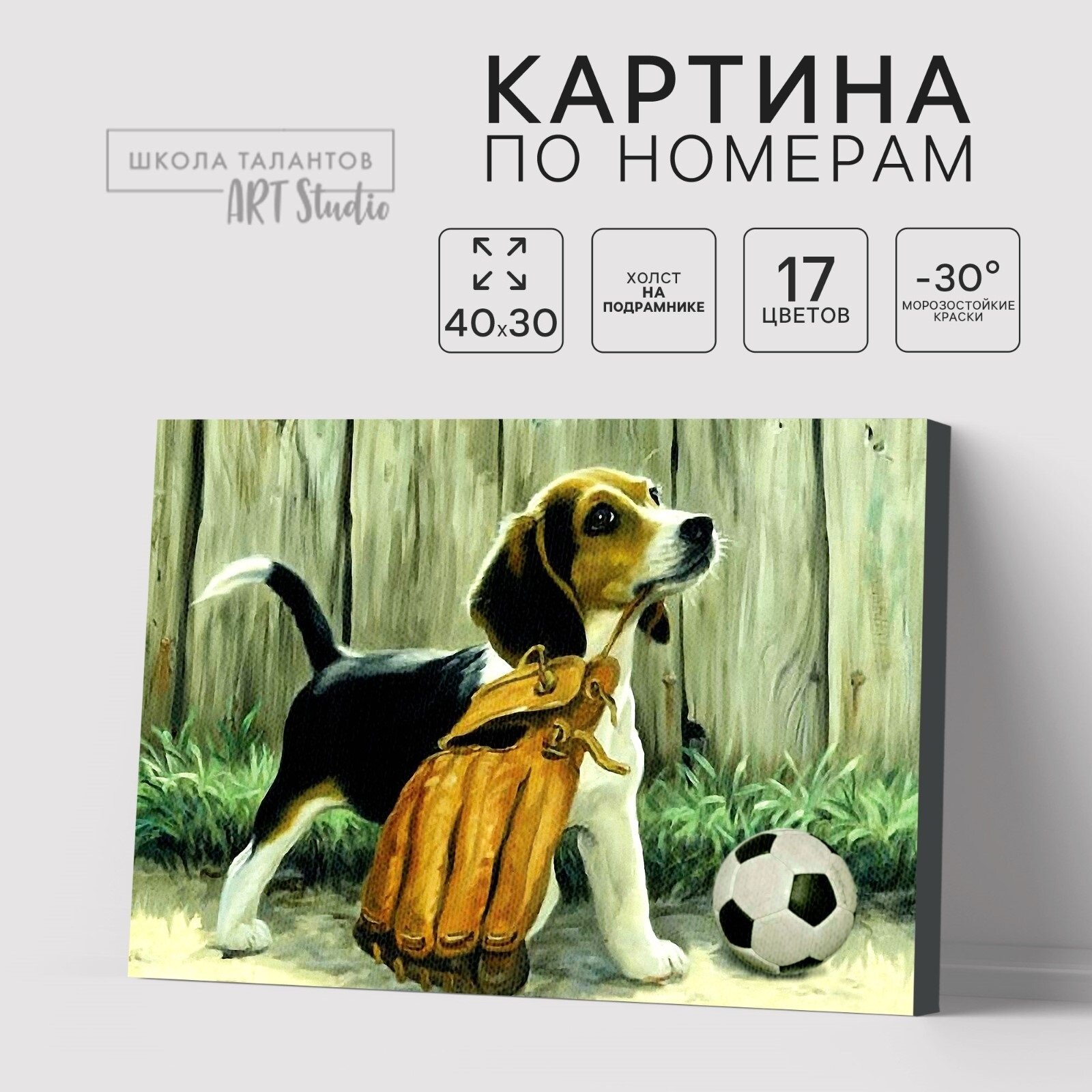 Картина по номерам на холсте "Щенок с мячом", 40*30 см, Школа талантов