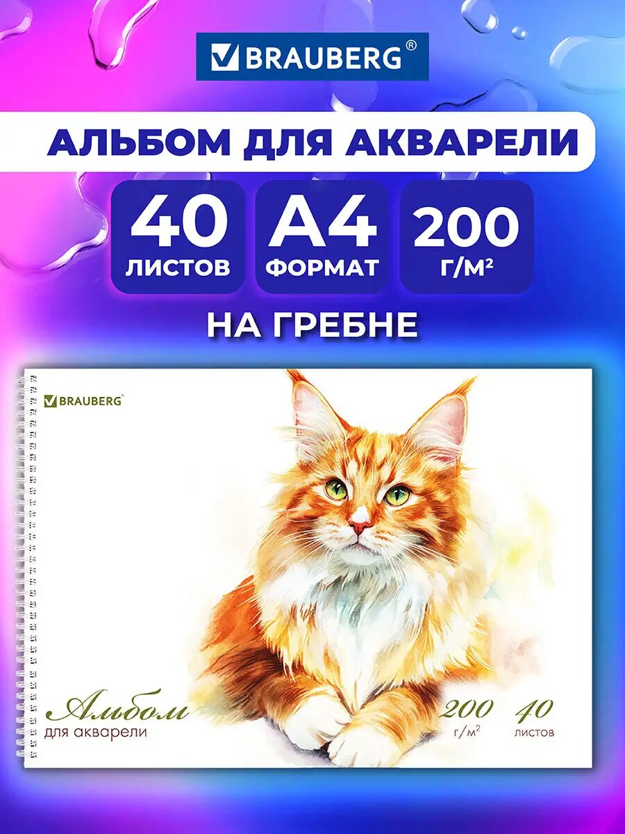 Альбом для рисования, акварели в школу А4 40 листов на гребне, плотная бумага 200 г/м2, твердая подложка, Brauberg Мейн-кун, 116884