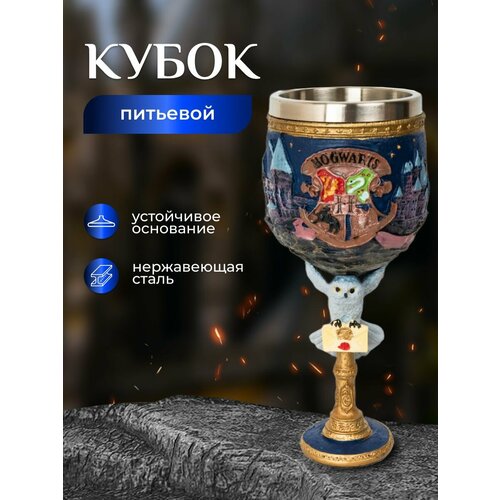 Кубок Fantasy Earth 