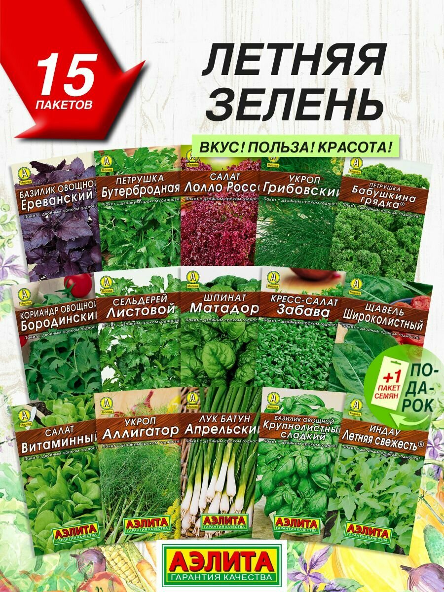 Семена зелени Аэлита Летняя зелень серия Лидер 15 сортов / Семена Зелени летней