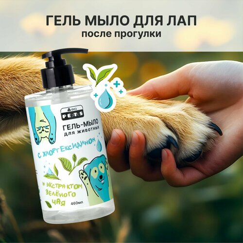 Гель-мыло для мытья лап собак и кошек с хлоргексидином и экстрактом зеленого чая, 460мл