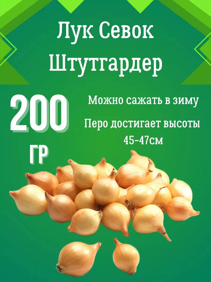 Лук севок Штутгартер Ризен 200гр.