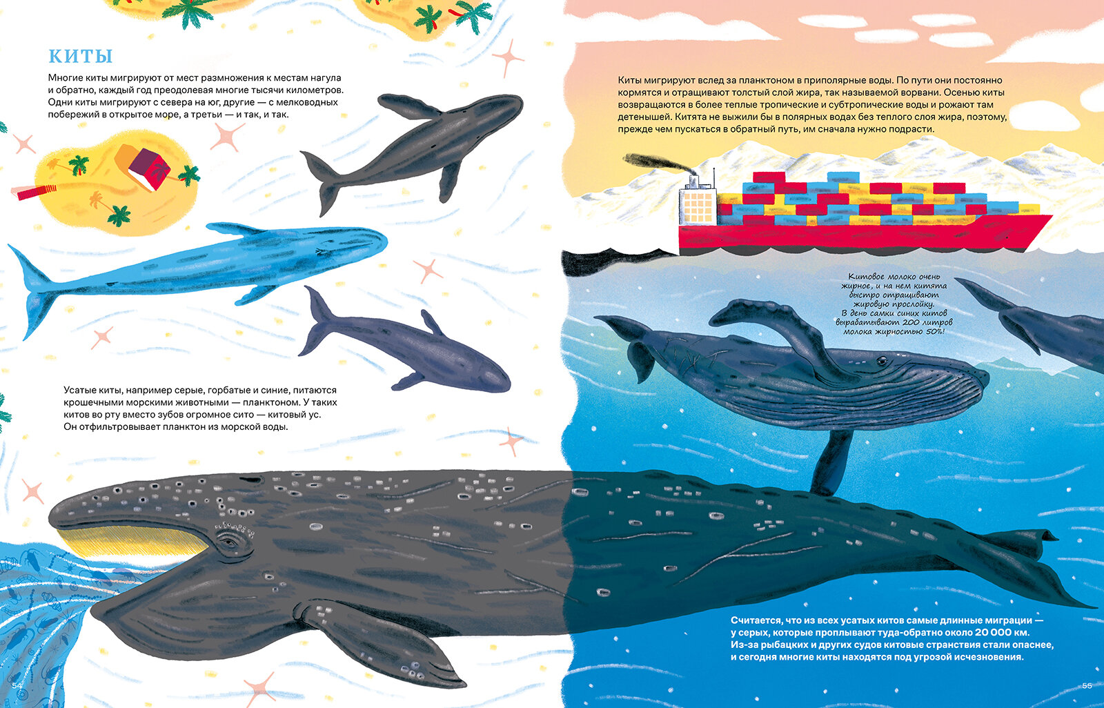 Невероятные странствия животных : навигация и миграция по воздуху, суше и морю - фото №12
