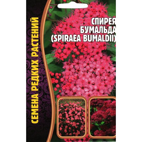 Спирея Бумальда / Spiraea bumaldii