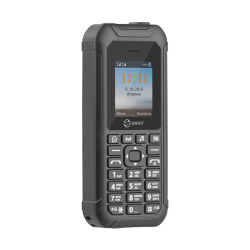 Смартфон SENSEIT L250, 2 SIM, черный