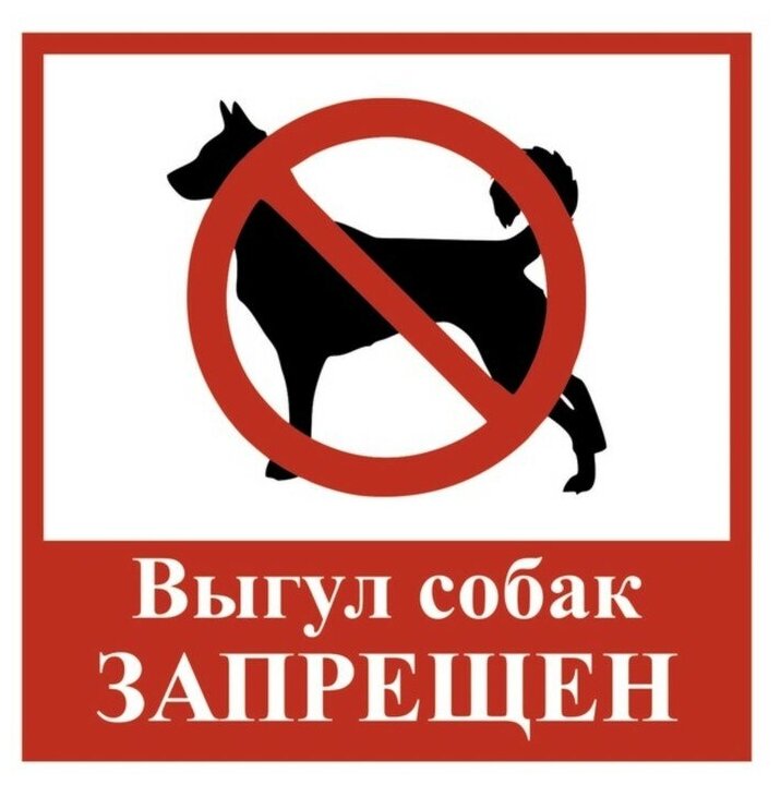 Табличка "выгул собак запрещен" 200х200, самоклеющаяся основа