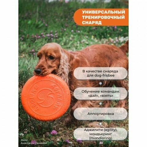 Pet Hobby Игрушка для собак Тарелка летающая диаметр 22 см средняя оранжевая, толщина 2,3 см, для собак средних пород (снаряд, пуллер), 2 шт - фотография № 7