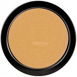 PAESE Пудра компактная Illuminating Covering Powder 4С