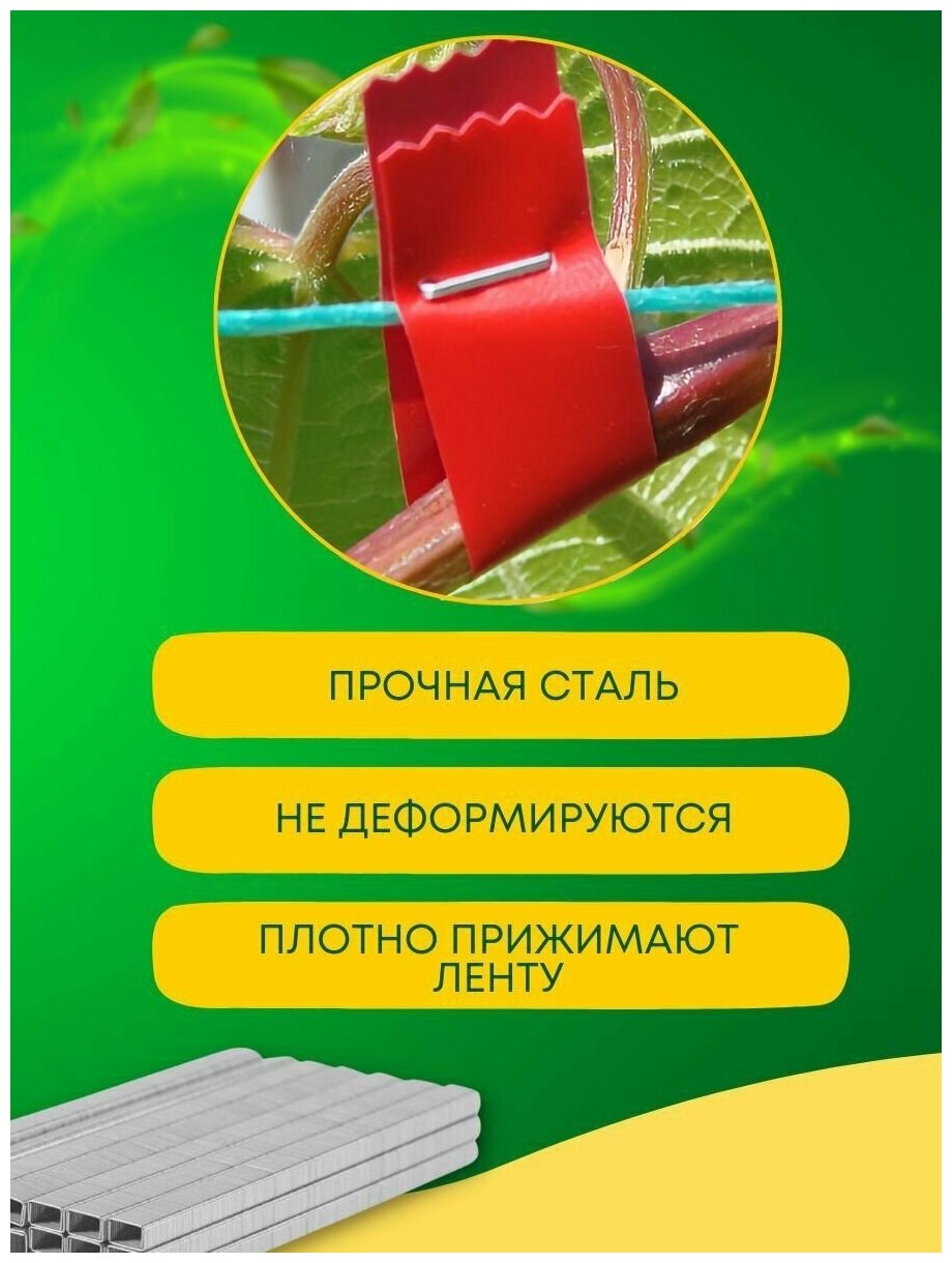 Набор ленты и скобы для тапенера, степлера садового, для подвязки растений и кустарников, подвязчик - фотография № 6