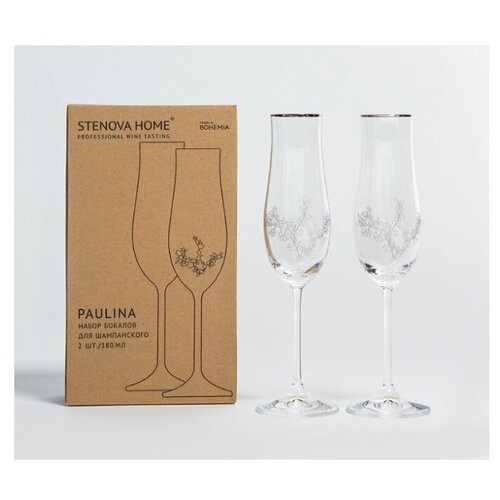 Набор бокалов STENOVA HOME Paulina для шампанского 2 шт, 180 мл