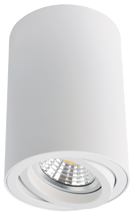 ARTE Lamp Накладной светильник Arte Lamp A1560PL-1WH