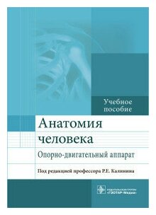 Анатомия человека. Опорно-двигательный аппарат. Учебное пособие - фото №1