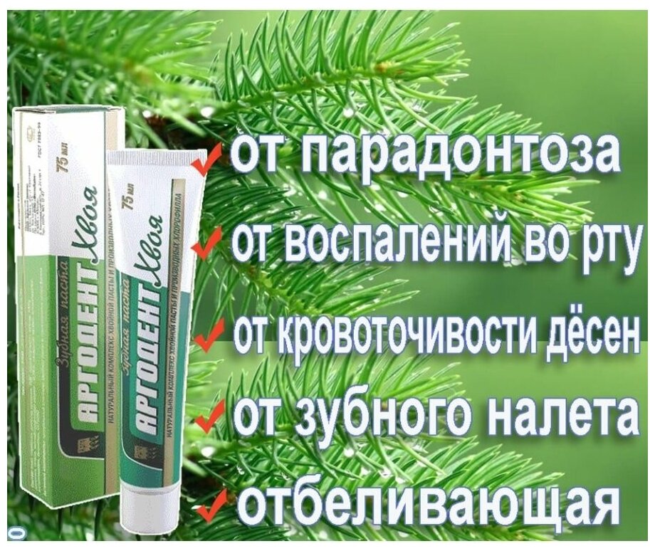 Аргодент Хвоя зубная паста 75 мл арго